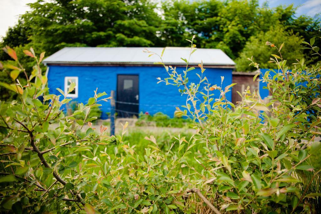 The Snowdon Inn - Y Fricsan Cwm-y-glo Kamer foto